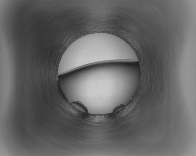 X0000112720384200908200951