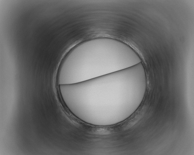 X0000112720390200908200951