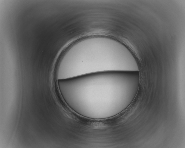 X0000112720392200908200951