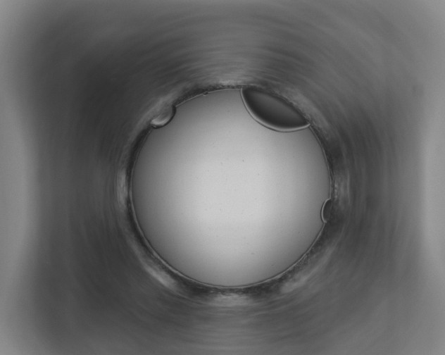 X0000112720397200908200951