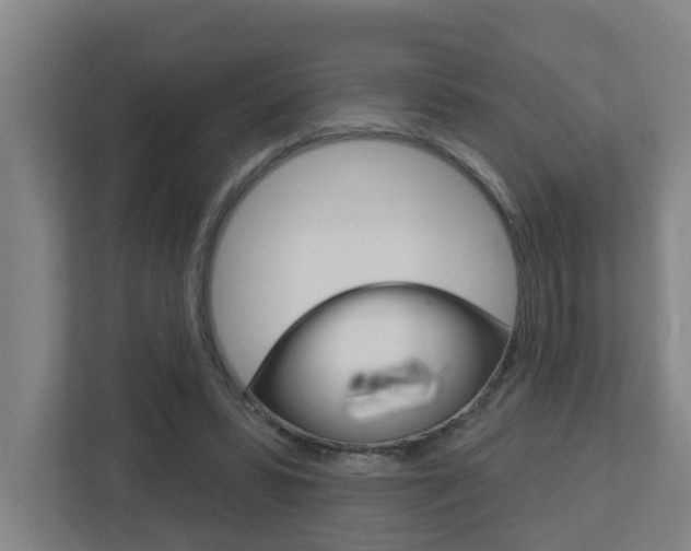 X0000112720399200908200951