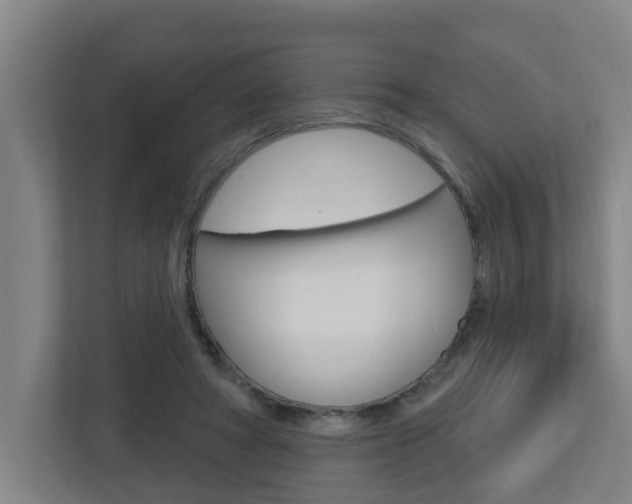 X0000112720402200908200950