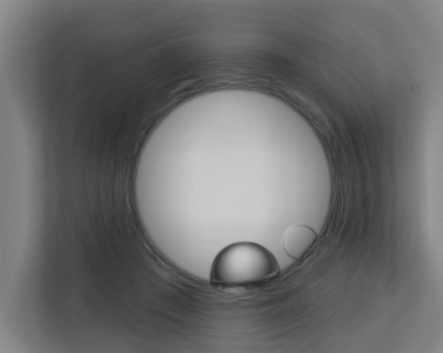 X0000112720409200908200950