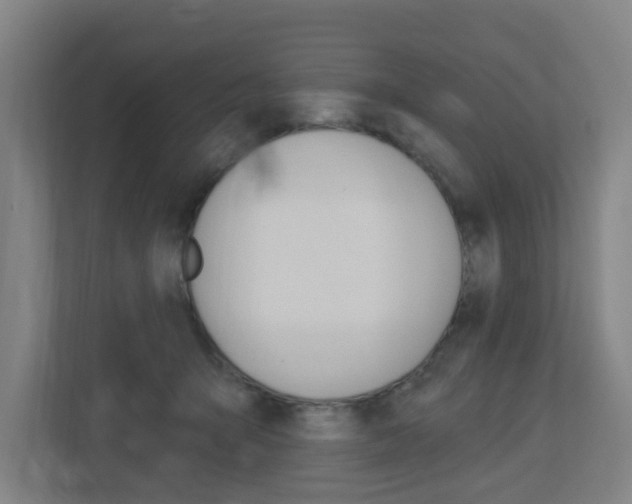 X0000112720415200908200950