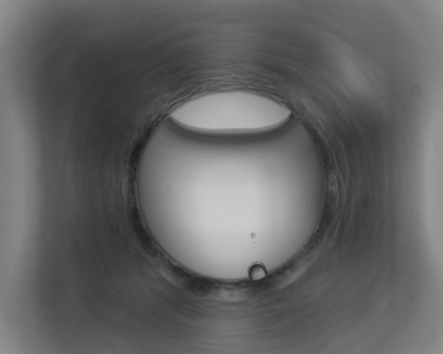 X0000112720416200908200950