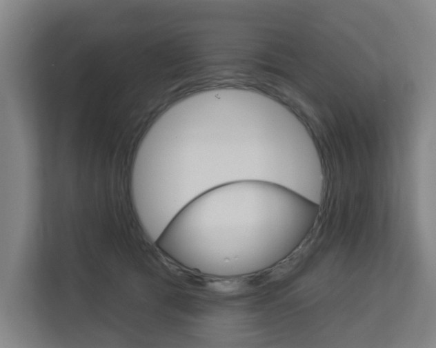 X0000112720417200908200950