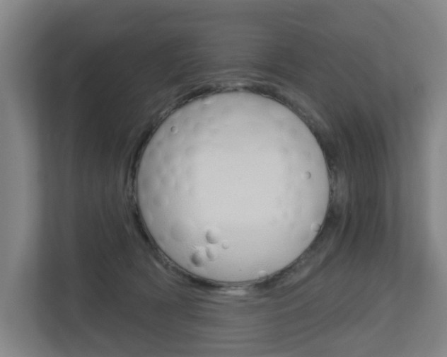 X0000112720418200908200950