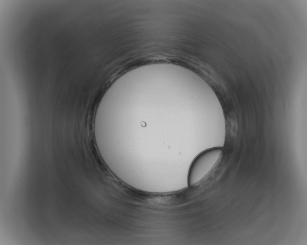 X0000112720422200908200950