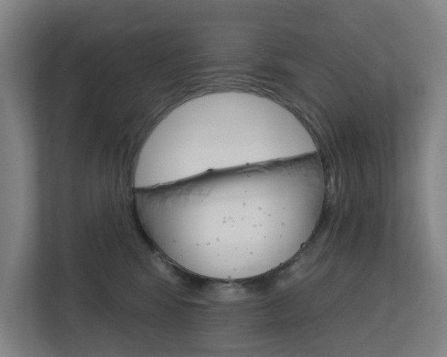 X0000112720424200908200950