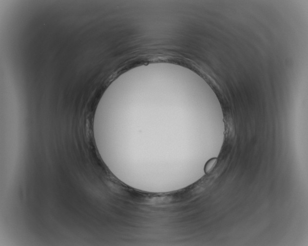 X0000112720426200908200950