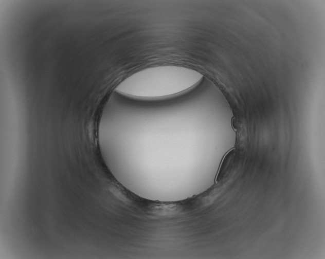X0000112720428200908200950