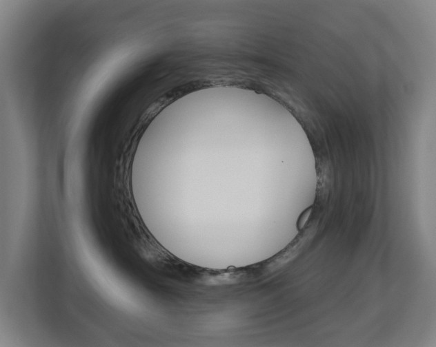 X0000112720430200908200950