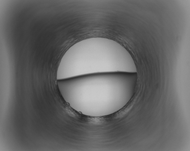 X0000112720432200908200950
