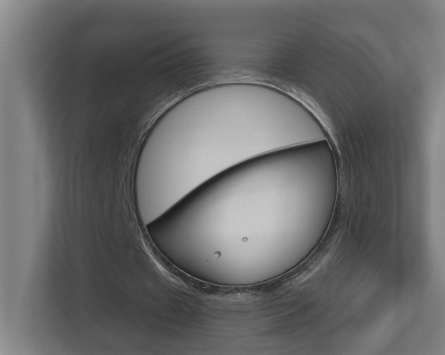 X0000112720433200908200949