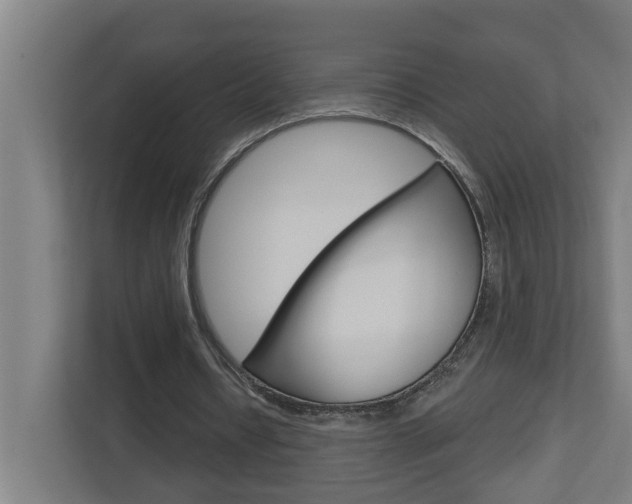 X0000112720434200908200949