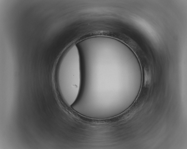 X0000112720435200908200950