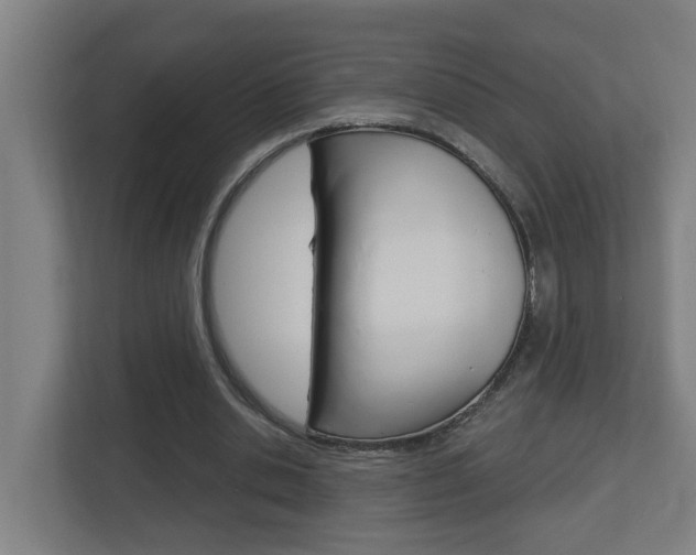 X0000112720438200908200950