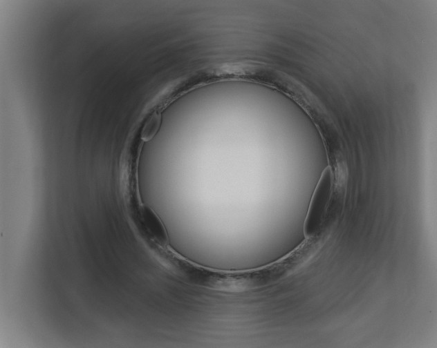 X0000112720444200908200950