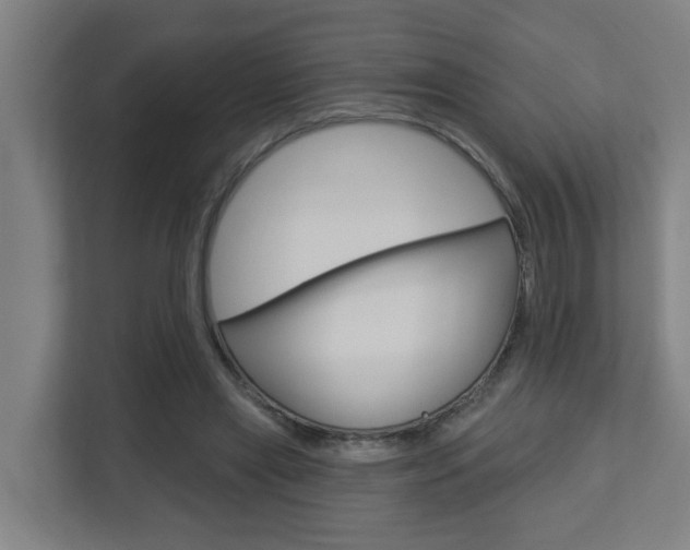 X0000112720445200908200950