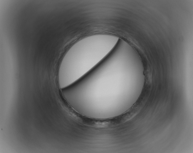 X0000112720450200908200950
