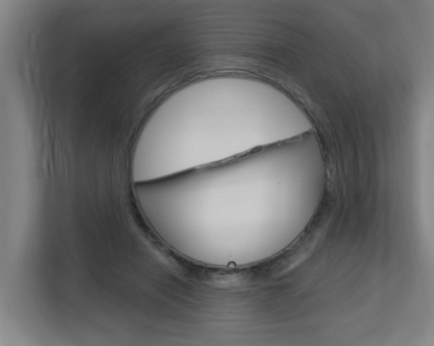 X0000112720454200908200950