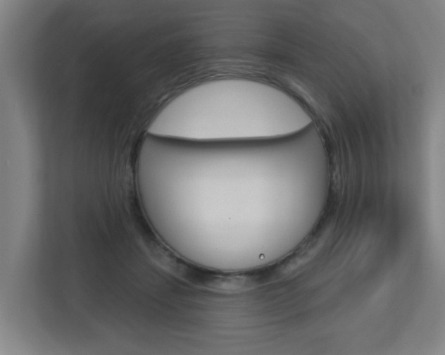X0000112720459200908200950