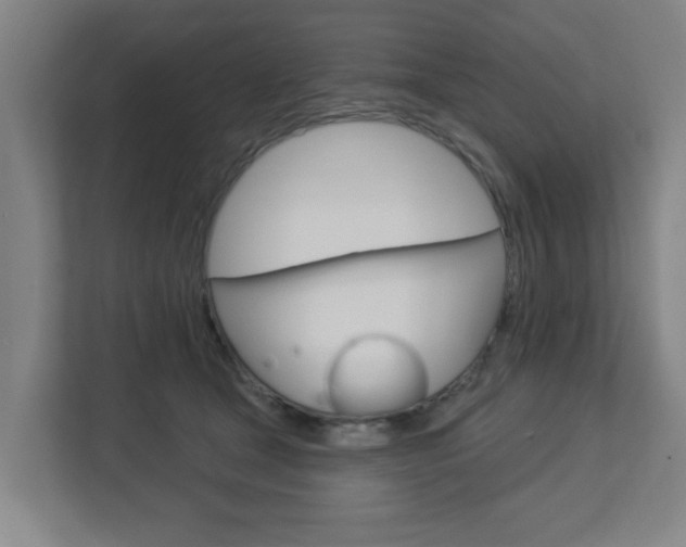 X0000112720465200908200950