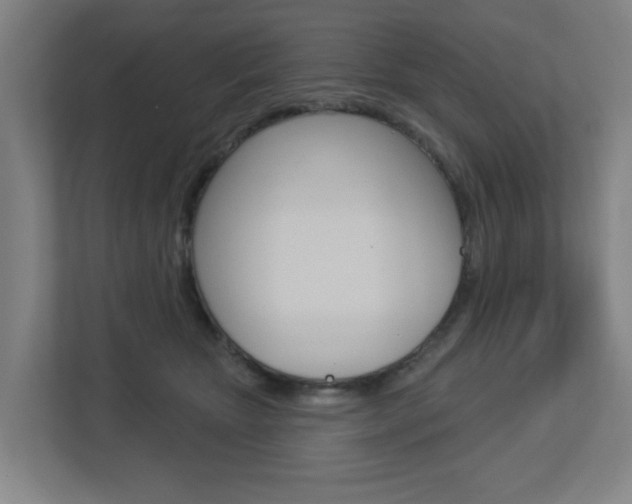 X0000112720467200908200950