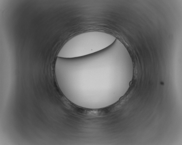 X0000112720473200908200950