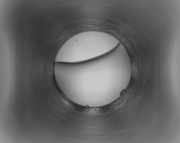 X0000112720474200908200950