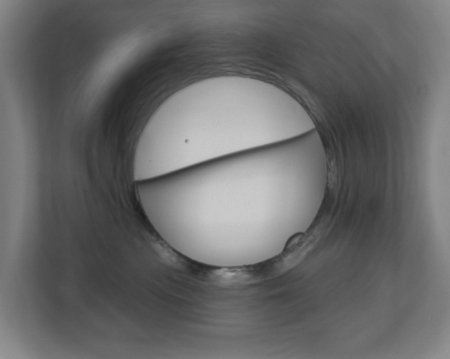 X0000112720477200908200950