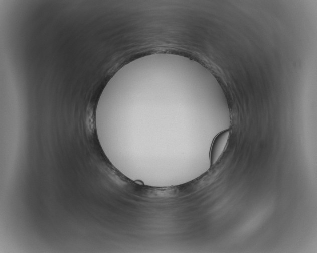 X0000112720479200908200950