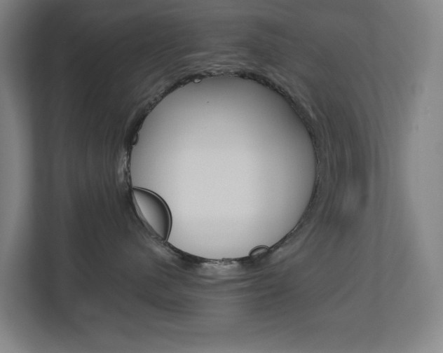 X0000112720480200908200950