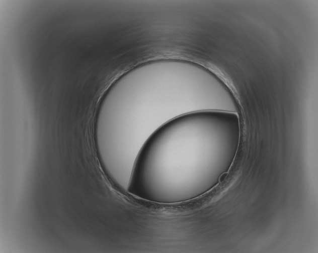 X0000112720481200908200949