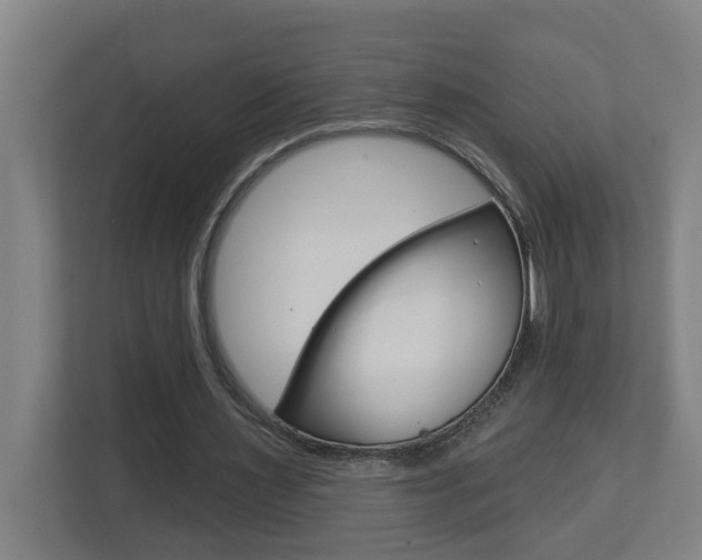 X0000112720483200908200949