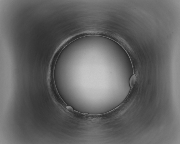 X0000112720484200908200949