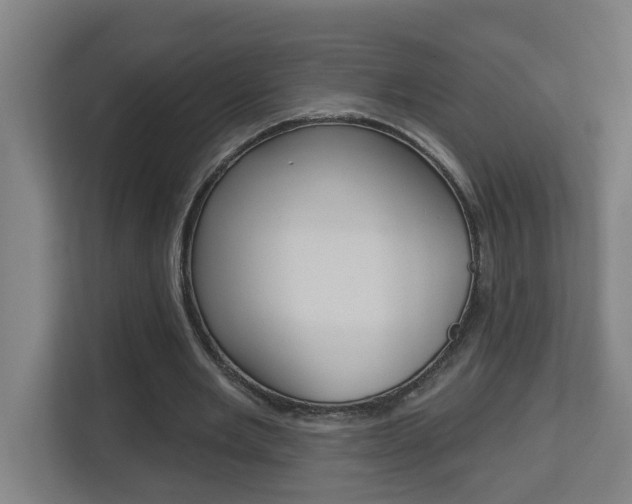 X0000112720485200908200949