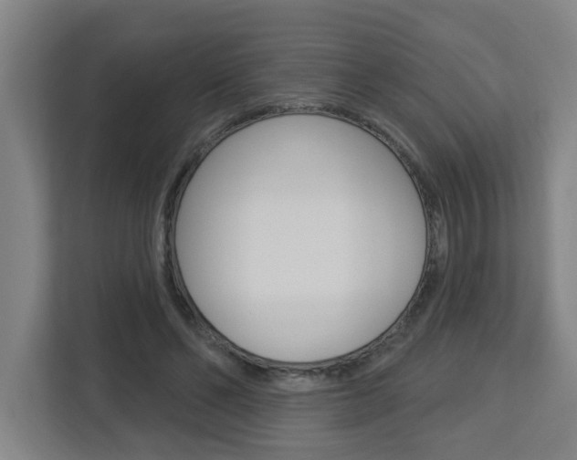 X0000112720494200908200949