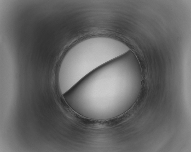 X0000112720496200908200949