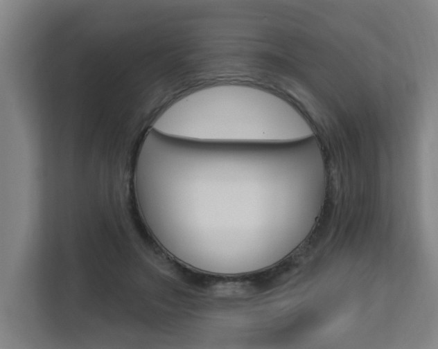 X0000112720499200908200949