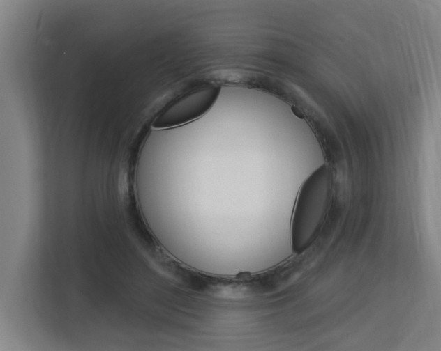 X0000112720500200908200949