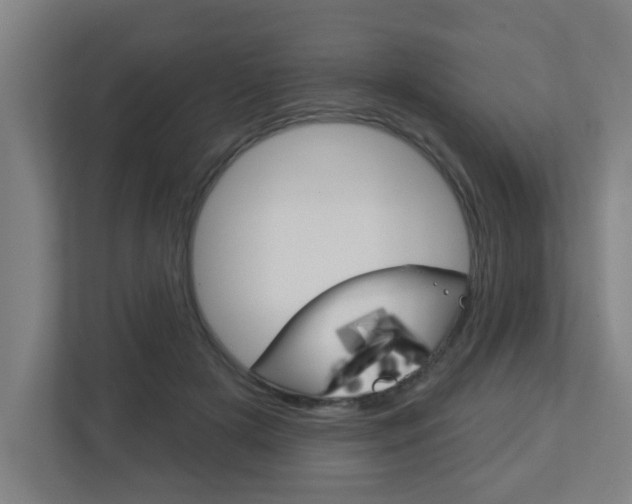 X0000112720505200908200949