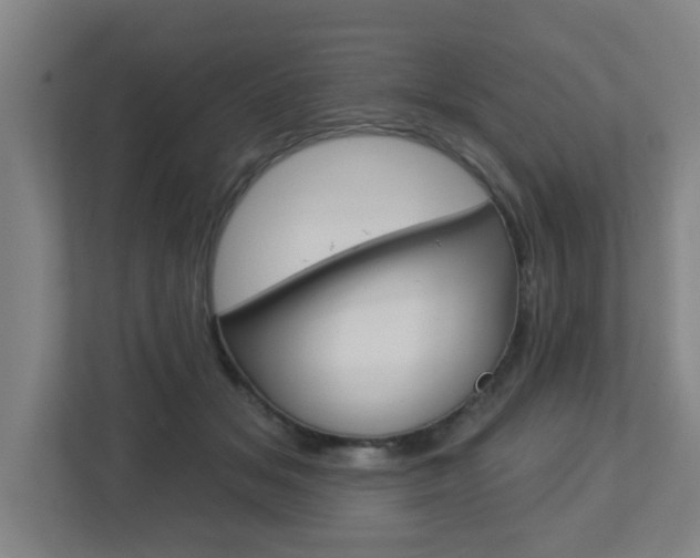 X0000112720509200908200949