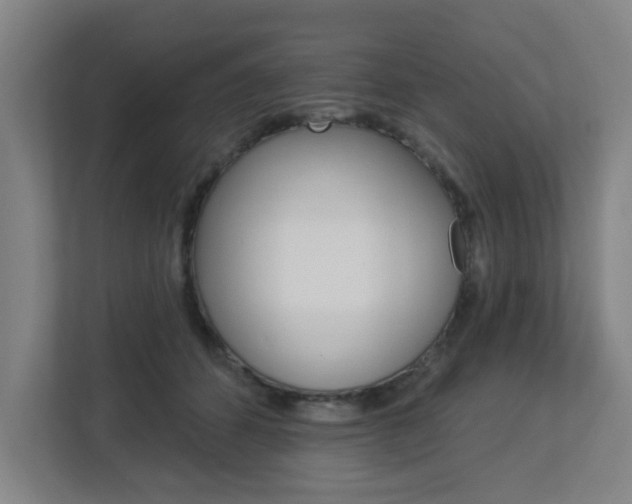 X0000112720512200908200949