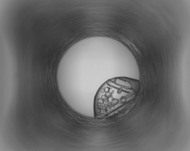X0000112720517200908200949