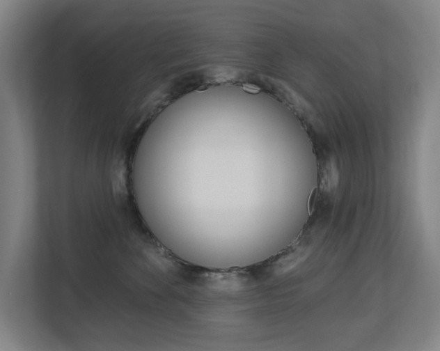 X0000112720524200908200949