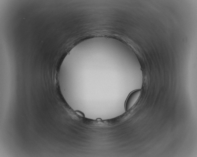 X0000112720525200908200949