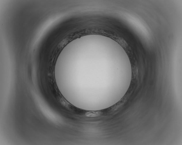 X0000112720526200908200949