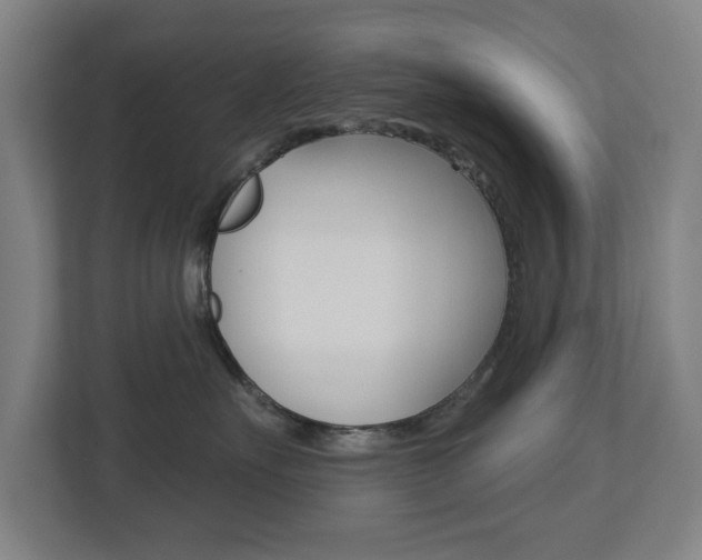 X0000112720527200908200949