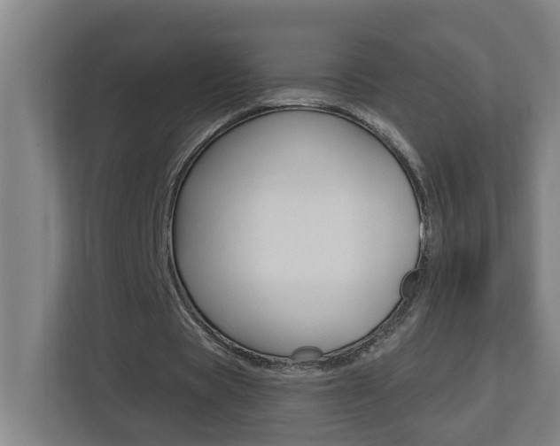 X0000112720529200908200948
